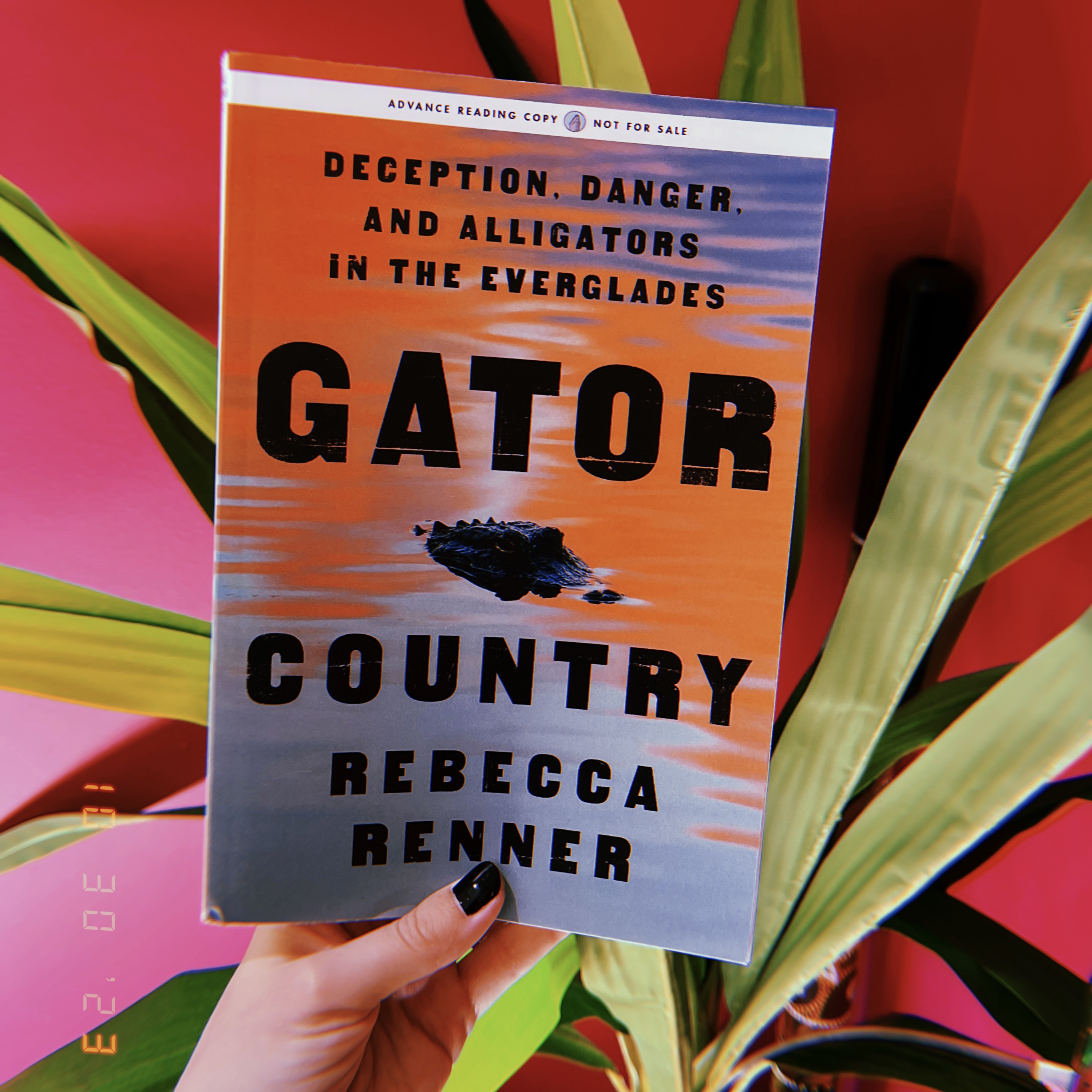 A hand holding a book, Gator Country by Rebecca Renner.